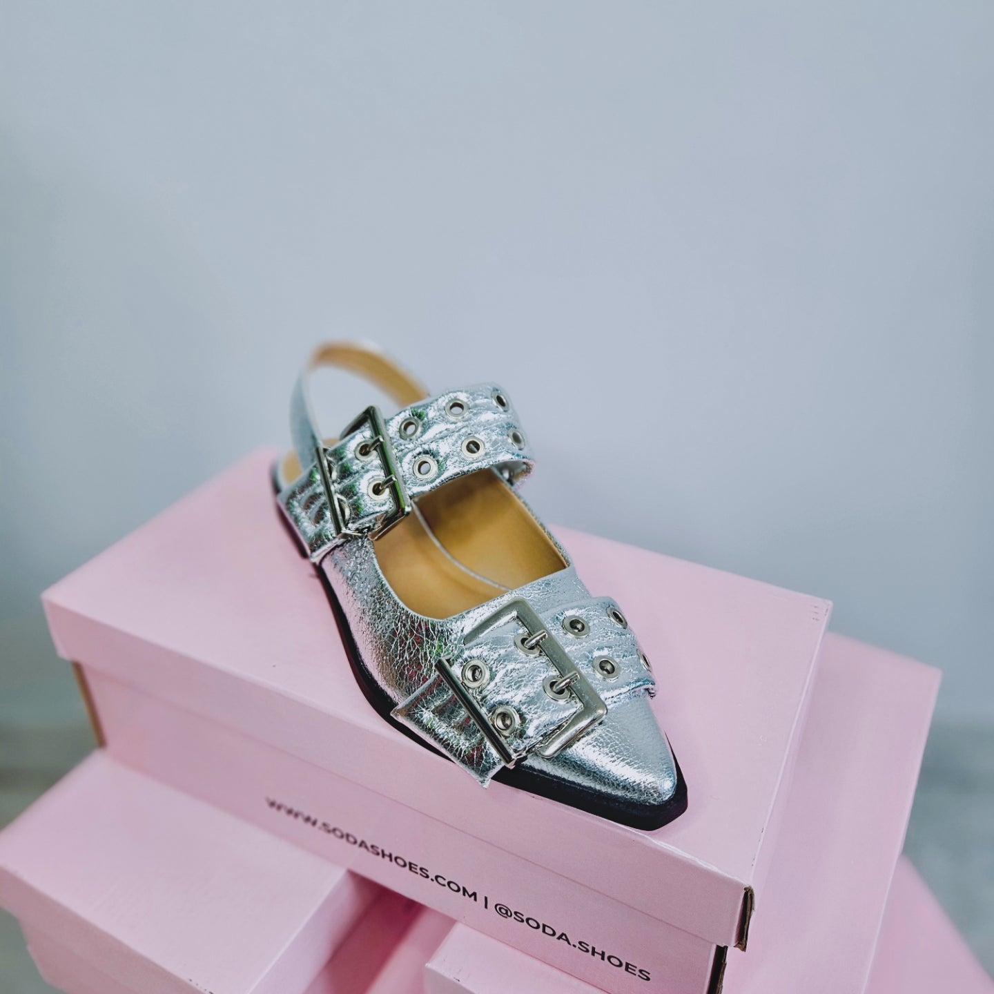 Silver Poinet Flats